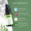 Neutriherbs Hyaluronic Acid Serum, Lightweight/Rapidly Hydrate Skin, Daily Facial Serum