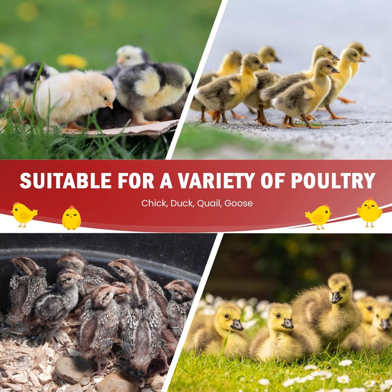 Tetuga Chicken Brooder Box for Chick Starter Kit - 10