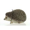 Vivid Arts Ltd Pet Pals Pygmy Hedgehog