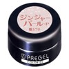 PRE GEL PG-CE570 Color Gel Color EX Ginger Pearl-P 0.1