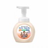 250mL Foaming Hand Soap for Bathroom Foaming Hand Wash