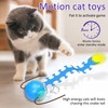 Giociv Interactive Cat Toys Ball for Indoor Cats Fast Rolling