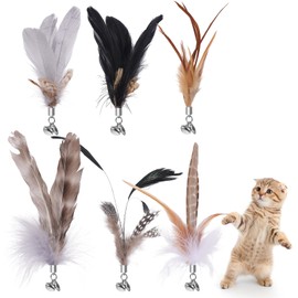 SRIZIAN 6 Pcs Cat Feather Toys with Bells, Feather Teaser Cat Toy, Replacement Refills with Bells, Exerciser Playing Toy for kitten or cat