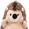 Petface Heston Hedgehog Plush Dog Toy (Pack of 1)