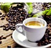 Cafe Pho Vietnamese 3in1 Instant Coffee Mix, Iced Milk Coffee,