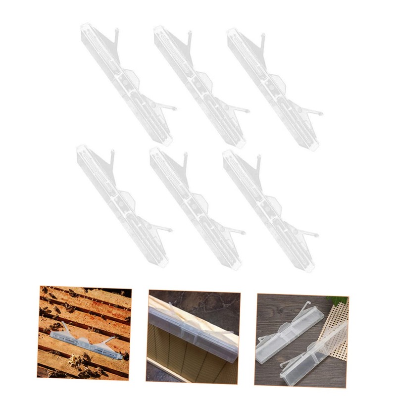 CIYODO 6pcs Clear Reusable Hive Beetle Traps Baitable Beetle Collecting