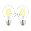 OPALRAY 12V-24V DC Low Voltage Input LED Bulb, Classic A19(A60)