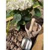Spear & Jackson 5060SS Traditional Stainless Soil Scoop