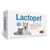 20 Cpsulas Probiticos y Prebiticos para Perros y Gatos Suplemento