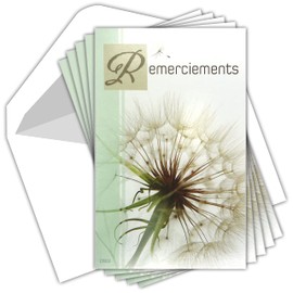 Afie C5202 Thank You Sympathy Pack of 5 Identical Cards + 5 White Envelopes Size 9 x 14 cm Funeral Death Mourning Dried Flower Dandelion Seeds Sowing Pouch Made in France