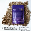 Stay Wyld Organics - Turkey Tail Mushroom Supplement, 100% Canadian,