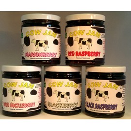 Cow Jam Full Size Gift (5 - 12 Oz Jars)