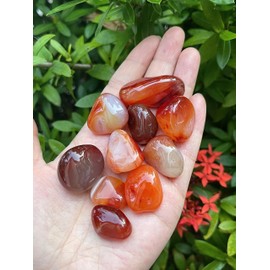 WHOLESALE Carnelian Tumbled Stones, Polished Carnelian Gemstone, Carnelian Polished Rocks (Carnelian, 0.5 Pound)