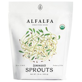 Organic Alfalfa Sprout Seeds (16 oz) – Non-GMO, Heirloom Seeds for Sprouting and Microgreens