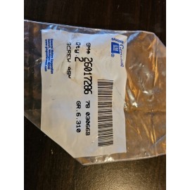 General Motors  NOS GM 26017286 Transmission Axle Cap Mounting Screws (2)