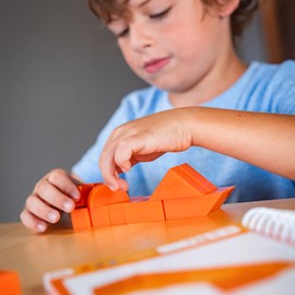 Foxmind Games: Architecto Spatial Logic and Dexterity Game, Smart Fun with Structures, 50 Smart Puzzles to Work Through, 6 Levels of Complexity, Develops STEM Skills, 1+ Players, For Ages 7 and up