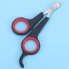 Bird Nail Clipper Grooming Tool Nail Scissors Clipper Pet Bird