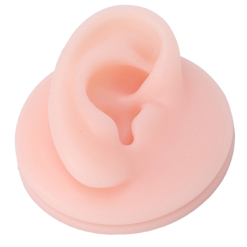 Professional Soft Silicone Ear Model Fake Ear Display Sample Ear