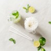 Basic Nature 8.3 Inch Compostable Straws, 100 Disposable Straws -