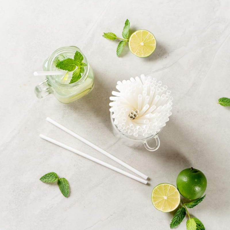 Basic Nature 8.3 Inch Compostable Straws, 100 Disposable Straws -