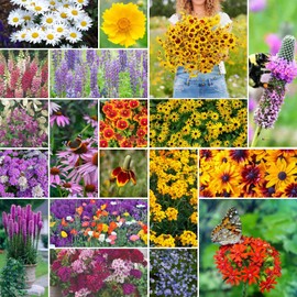 Eden Brothers All Perennial Wildflower Mixed Seeds for Planting, 1/4 lb, 120,000+ Seeds with Lupine, Shasta Daisy | Attracts Pollinators, Plant in Spring or Fall, Zones 3, 4, 5, 6, 7, 8, 9, 10