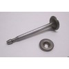 Tecumseh 32783 Intake Valve Genuine Original Equipment Manufacturer (OEM) Part