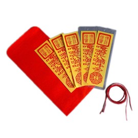 Teawan Taoist Fulu Talismans Lucky Charm Set: Dharma, Taoist Mantra, Positive Energy Amulet for Protection, Feng Shui, Exorcise Evil; Ward Off Evil Spirits (5 Guanyin Talisman)