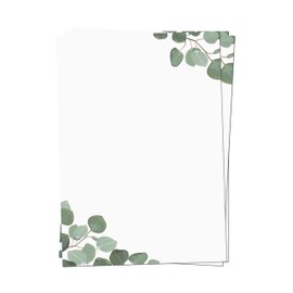 Presentou 50 x Letter Paper Printed on Both Sides 120 g Paper | Motif Paper Certificate Paper Certificate Menu Love Letter (Eucalyptus, 50 Sheets)