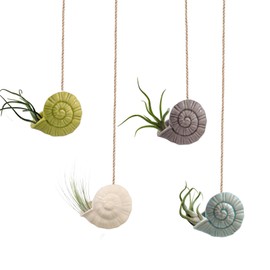 Mimeela 5 Pack Air Plant Holder Unique, Cute Octopus Air Plant Hanger Wall Planter, Ceramic Tillandsia Airplants Holders Hanging Wall Decor for Home Office (Whelk-Small (2.8 x 2 in))