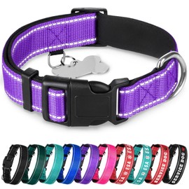 TECEUM Reflective Dog Collar – Purple – M – Extra Soft Padding – Basic Nylon Pet Collar – Quick Release Buckle – Fits Small, Medium and Large Dogs, Puppies, Cats – ESA & Service Dog Options
