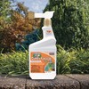 Bonide Captain Jack's Copper Fungicide, 16 oz Ready-to-Spray Disease Control
