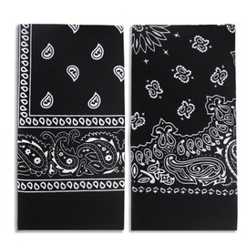 2 Pack Types of Paisley Pattern Bandanas, 22x22 Inches Cotton Bandanas Handkerchief Face Mask for Men & Women (Black-2 Pack)