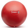 Sunny Health & Fitness Premium Pilates Ball 9” | Anti-Burst