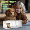 Indoor and outdoor live mouse catch, indoor non-lethal mouse catch,