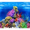 XCNO Fish Backgrounds Paper Double Sides Undersea Aquarium Background Poster