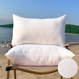 QSWRD 12 x 20 Outdoor Pillow Insert Small Throw Pillow Inserts Pack of 2 Water Resistant Patio Furniture Pillows Decorative Porch Couch Pillows Premium Rectangle Lumbar Sofa Pillow, White