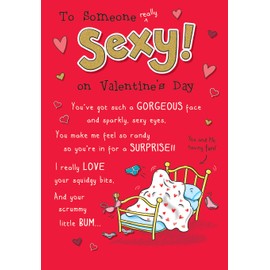 Piccadilly Greetings Humour Funny Valentine's Day Card Someone Sexy - 9 x 6 inches