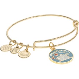Alex and Ani Pawtumn Bracelet, One Size, Brass, no gemstone