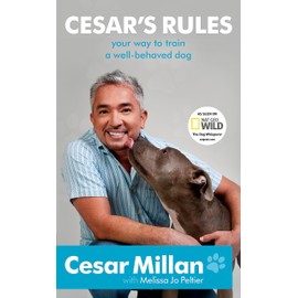 Cesar's Rules