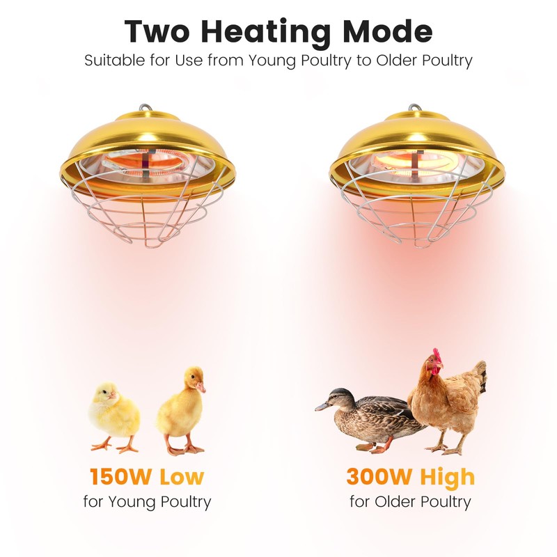 Roodike Hanging Chicken Coop Heater, 300W 2 Heating Levels Premium