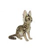 Hansa 8040 Serval Cat Sitting 19cm.L