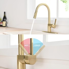 FROPO Gold Kitchen Faucet with Pull Down Sprayer - Modern Single Handle Pull Down Kitchen Sink Faucet with Deck Plate | Commercial Kitchen Faucet for 1 & 3 Hole Stainless Steel Brushed Gold