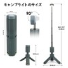 Telescopic Camping Light