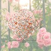 12Pcs Crystal Brooches Set - Small Size Flower Design (Rose