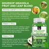 GORNVB (2 Pack) Soursop Graviola Gummies - 2200mg Extra Strength