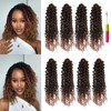 12 Inch Pre-looped Yanky Twist Crochet Hair 8 Packs 30