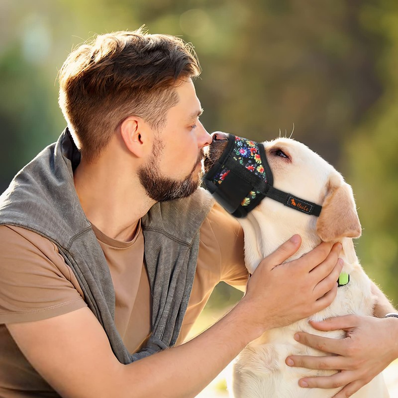 HEELE Dog Muzzle, Soft Nylon Breathable Muzzle with Vivid Prints