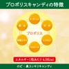 高濃度プロポリス配合 プロポリスキャンディー のど飴 ノンシュガー 個包装 (ハーブ3袋・オレンジ2袋)