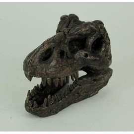 Tyrannosaurus Rex Dinosaur Skull Fossil Statue Small