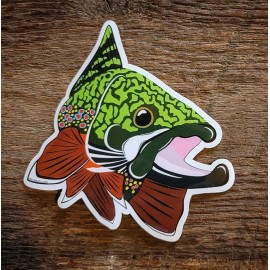 Mountain Creek Anglers BROOK TROUT Sticker Decal fly fishing Kype char 4" x 4 1/2" glossy weather proof